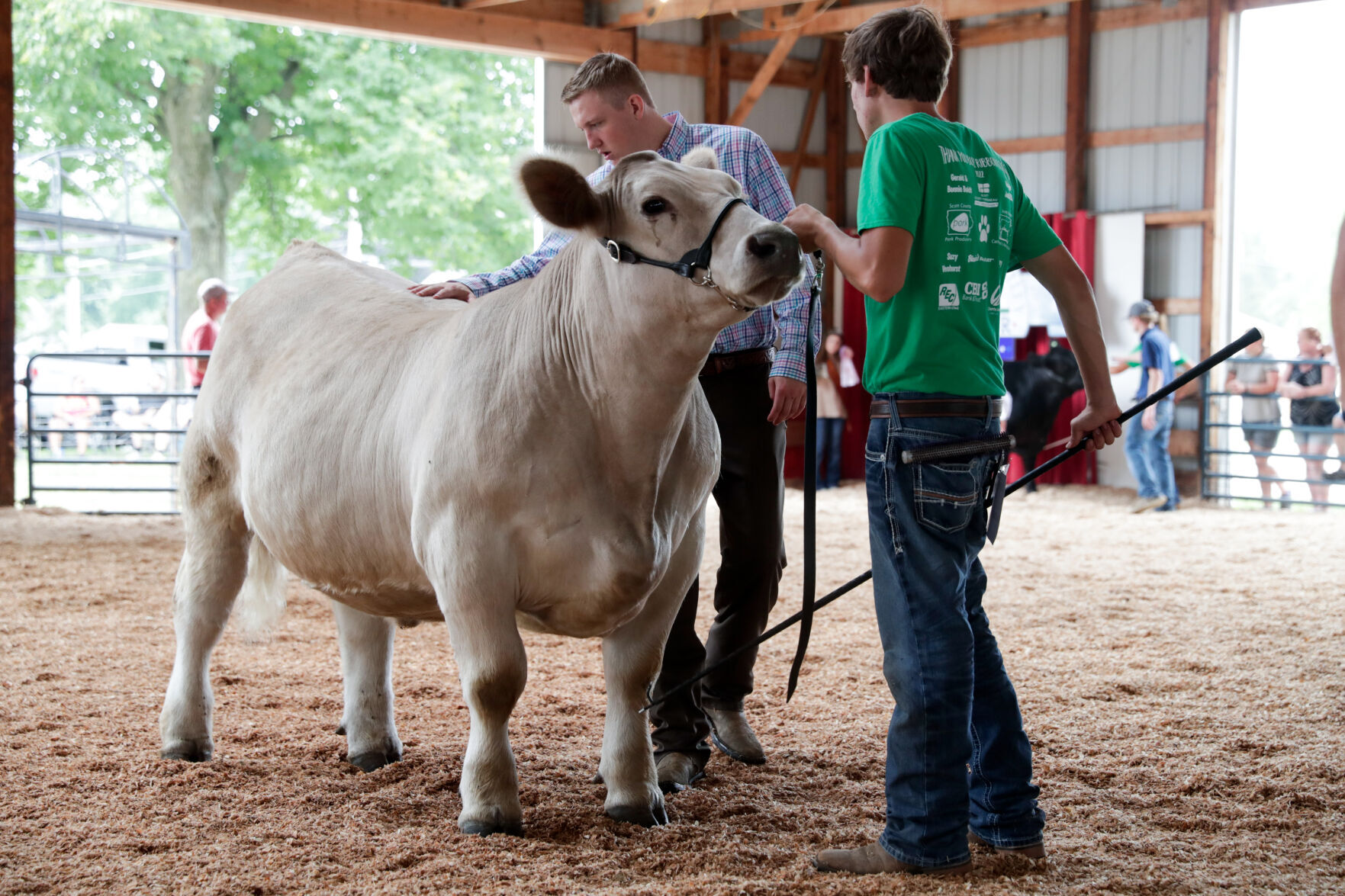080522-qc-nws-fair-17.jpg